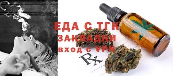 индика Богданович