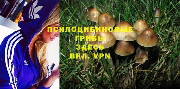 mdpv Бугульма