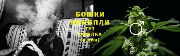 амф Бронницы