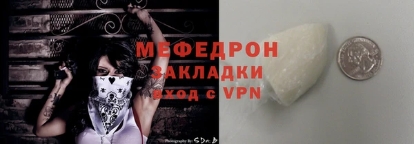 индика Богданович
