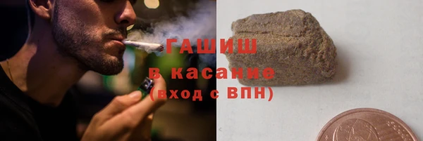 индика Богданович