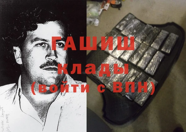индика Богданович
