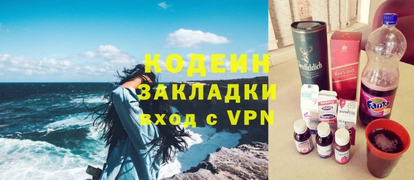 индика Богданович