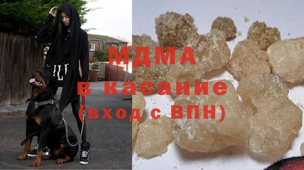 индика Богданович