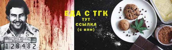 индика Богданович