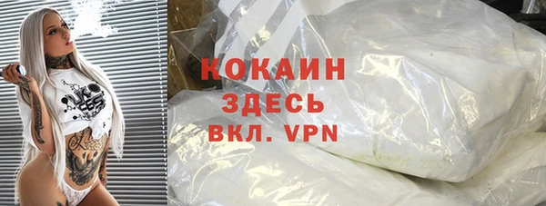 mdpv Богородицк