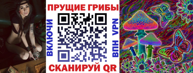 Галлюциногенные грибы Psilocybe  наркота  Дагестанские Огни 